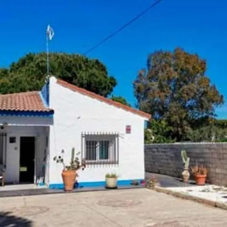 Casita Rana Verde-3